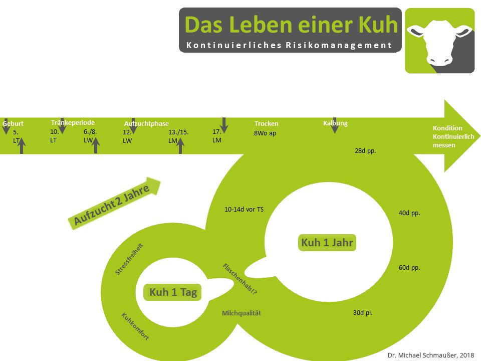 DasLebenEinerKuh