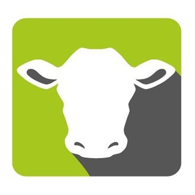 Anmeldung